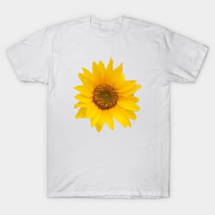 Yellow Sunflower -  Hello Summer T-Shirt